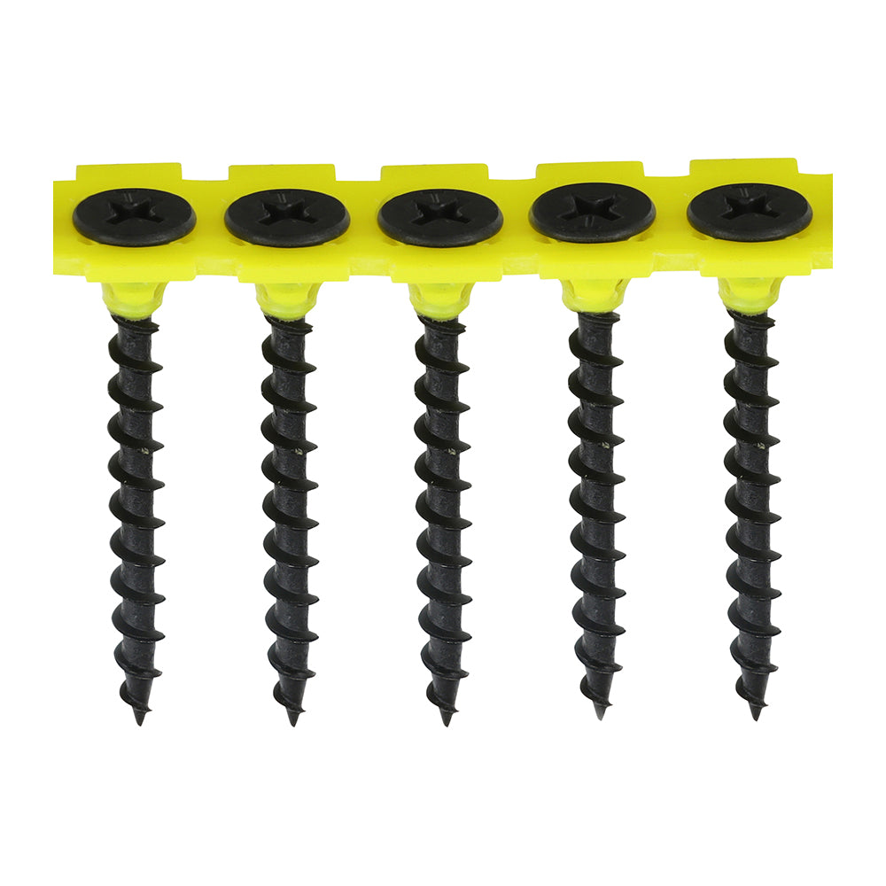 TIMCO Collated Drywall Coarse Black