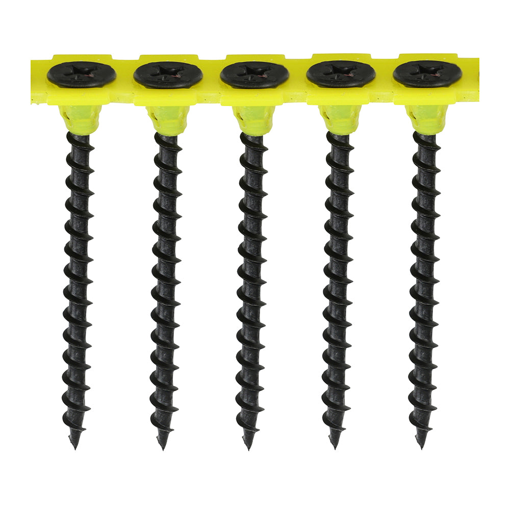 TIMCO Collated Drywall Coarse Black