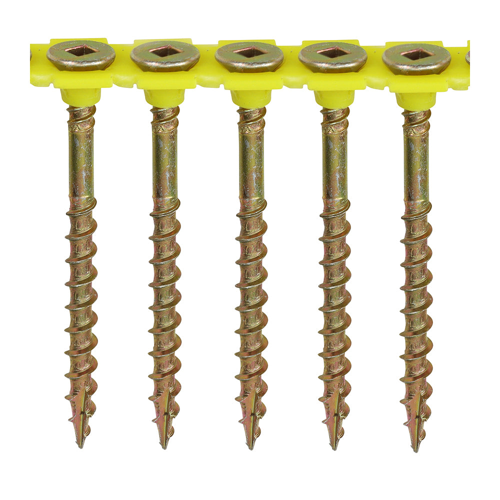 TIMCO Collated Floor Screw SQ ZYP
