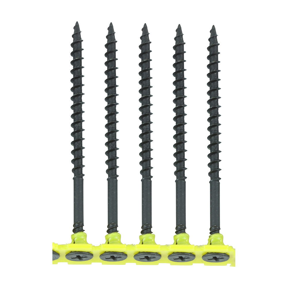 TIMCO Collated Drywall Coarse Black