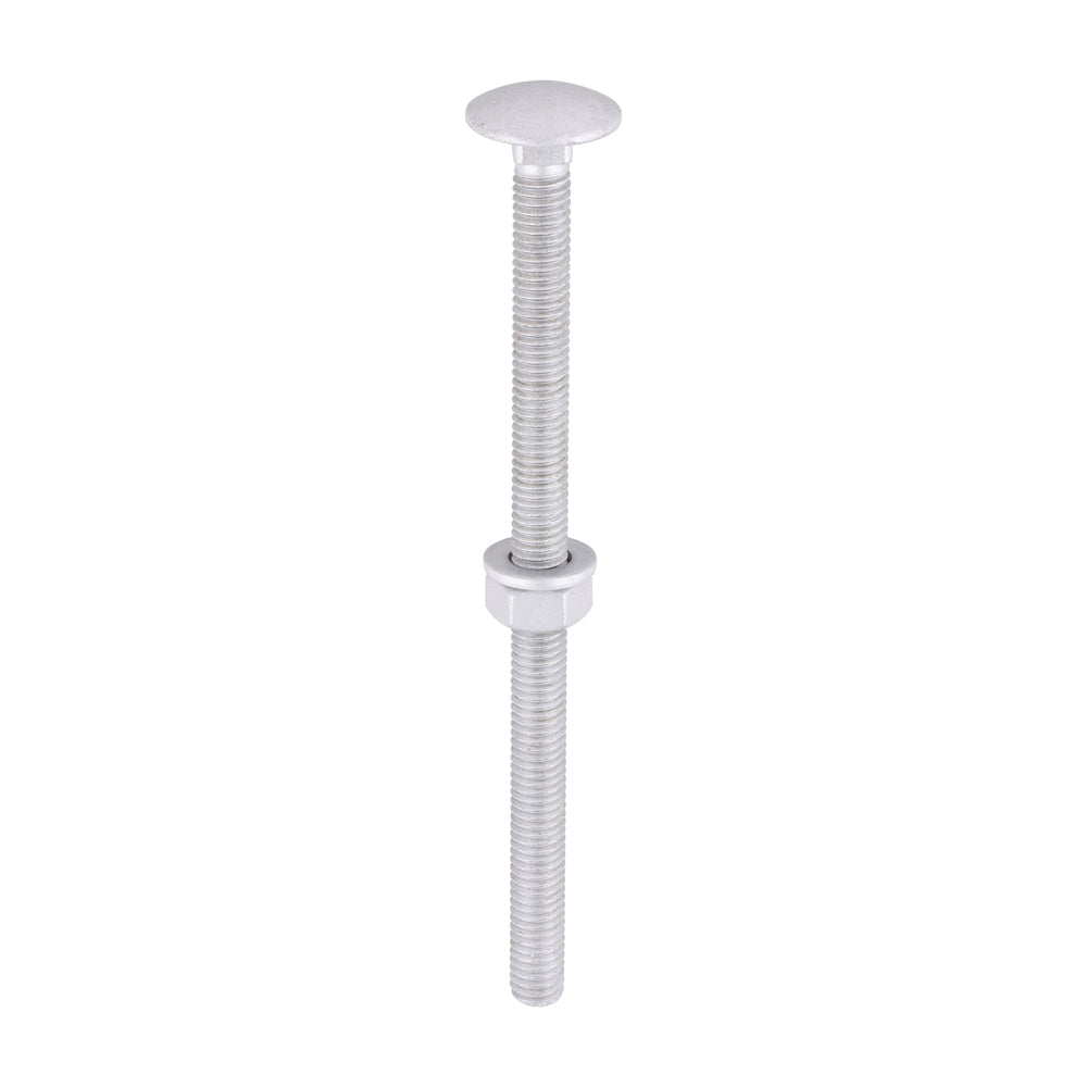 TIMCO Carriage Bolt Exterior - SO