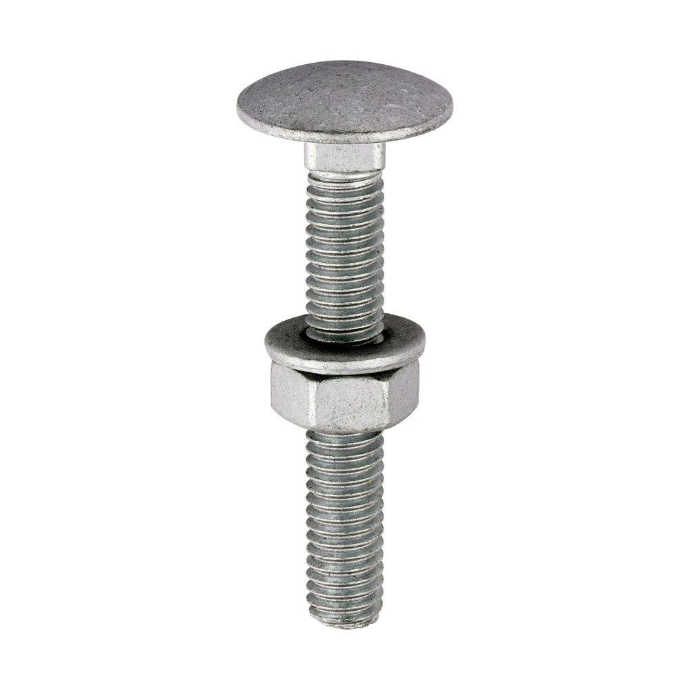 TIMCO Carriage Bolt Exterior - SO
