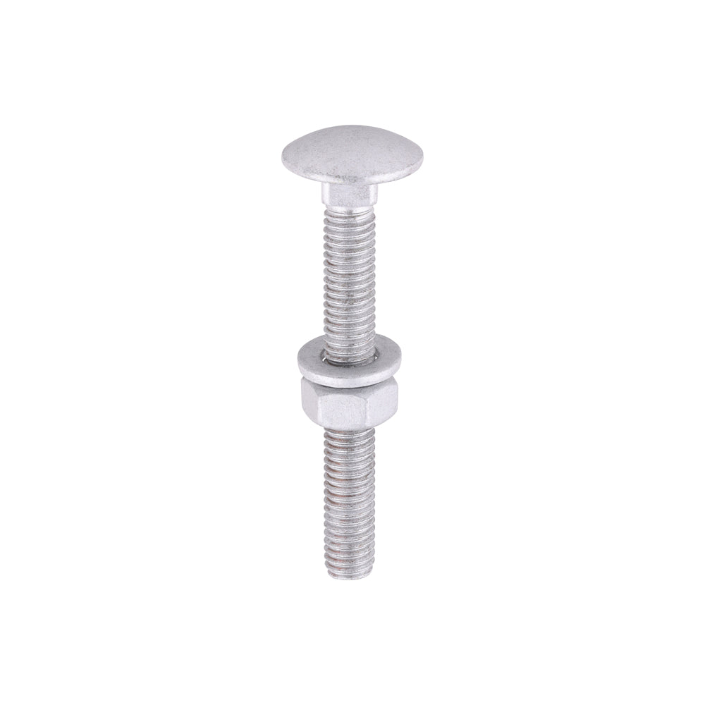 TIMCO Carriage Bolt Exterior - SO