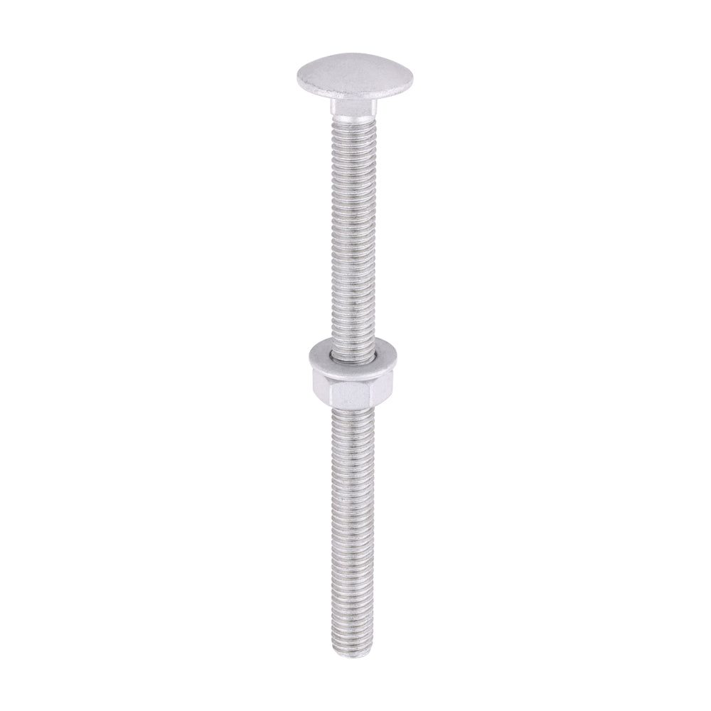 TIMCO Carriage Bolt Exterior - SO