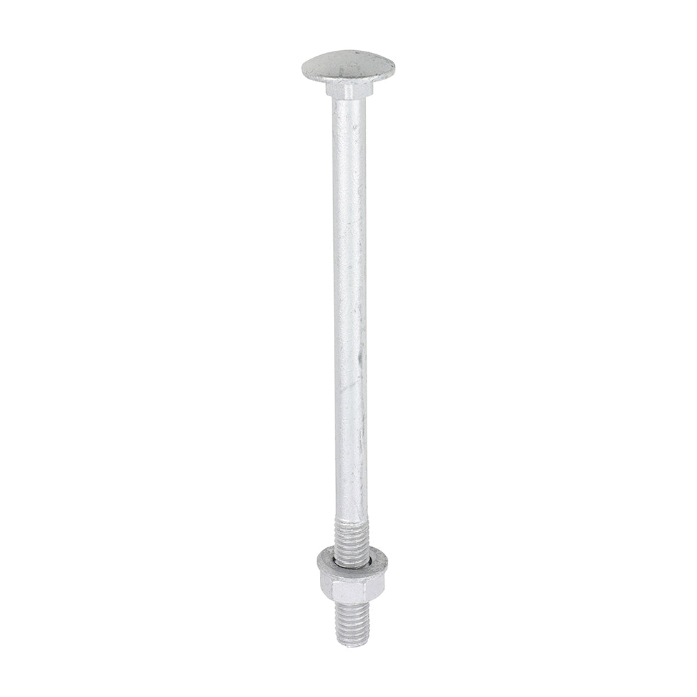 TIMCO Carriage Bolt Exterior - SO