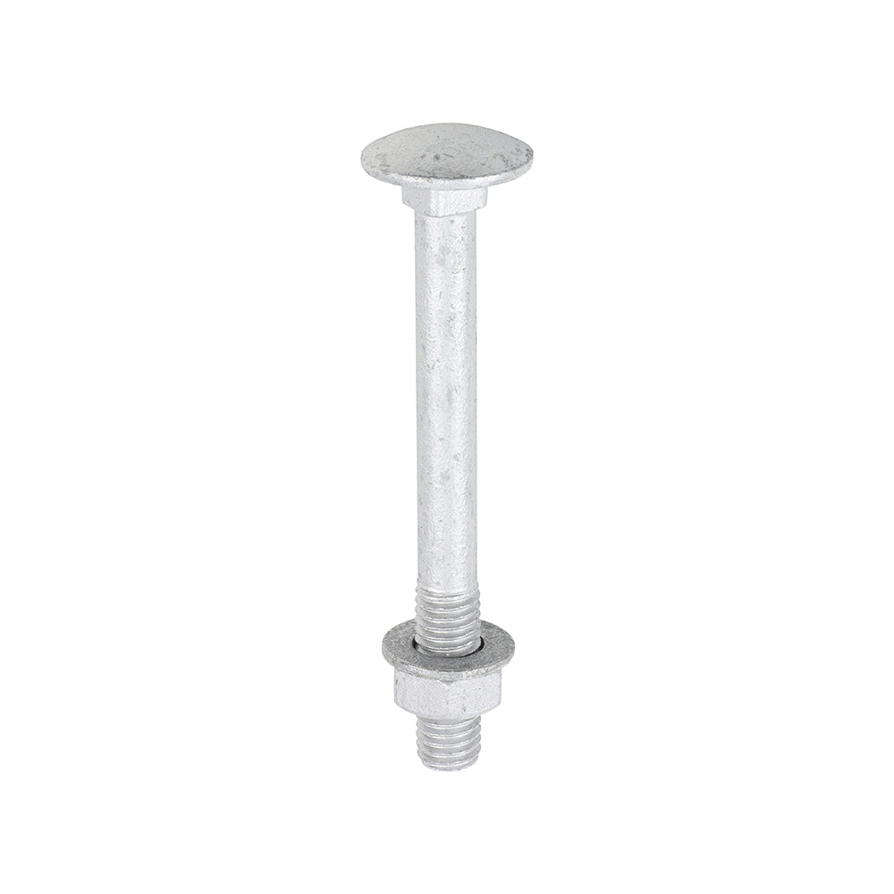 TIMCO Carriage Bolt Exterior - SO