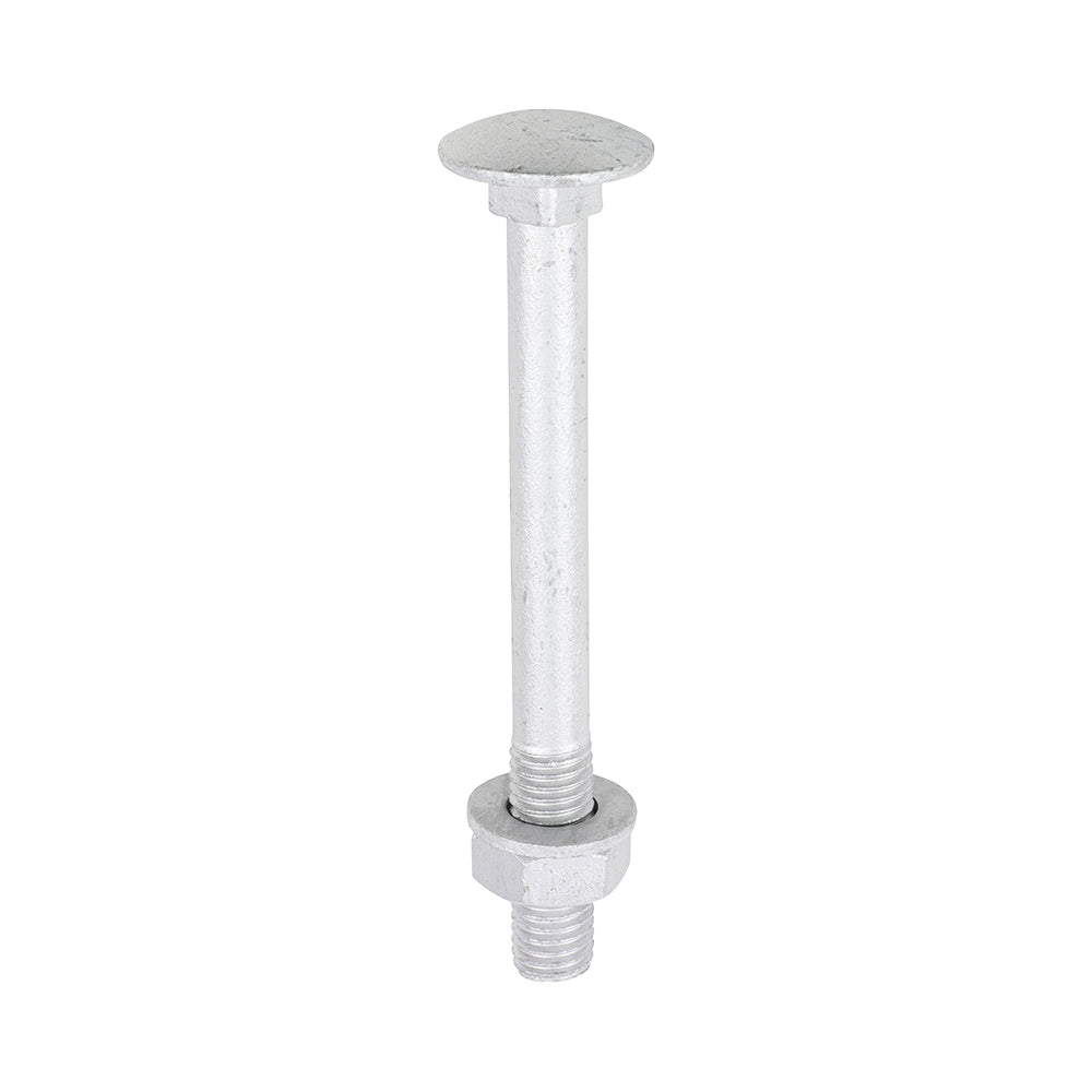 TIMCO Carriage Bolt Exterior - SO