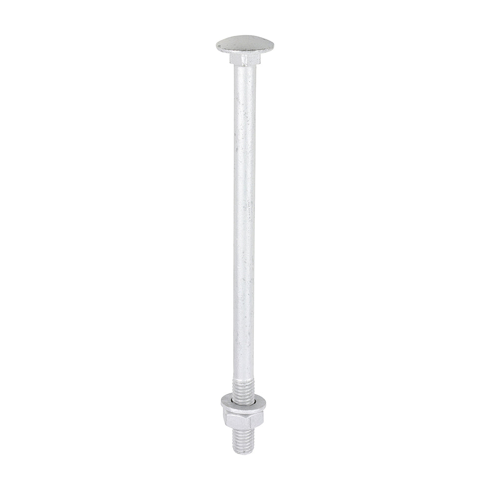 TIMCO Carriage Bolt Exterior - SO