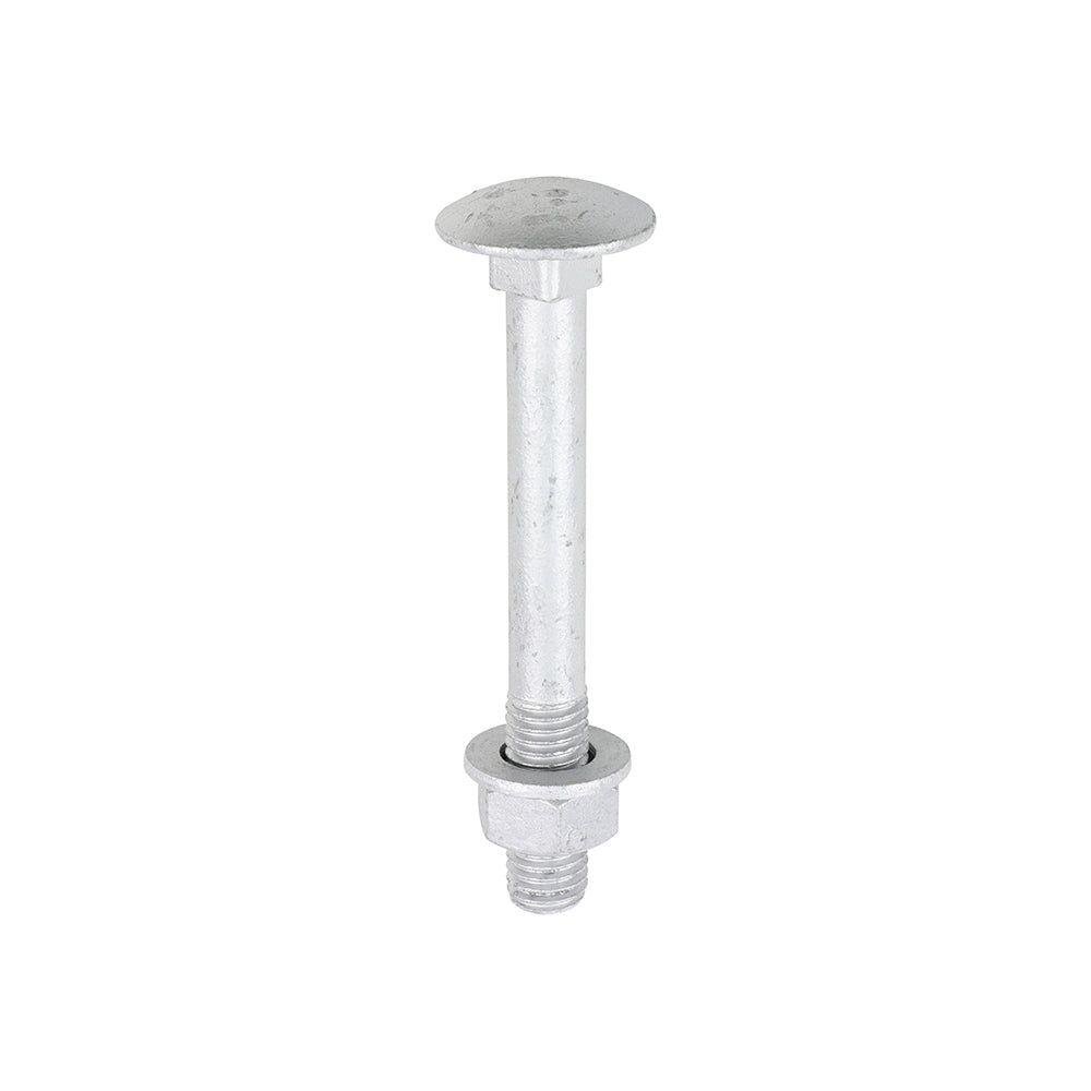 TIMCO Carriage Bolt Exterior - SO