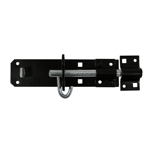 TIMCO Brenton Padbolt