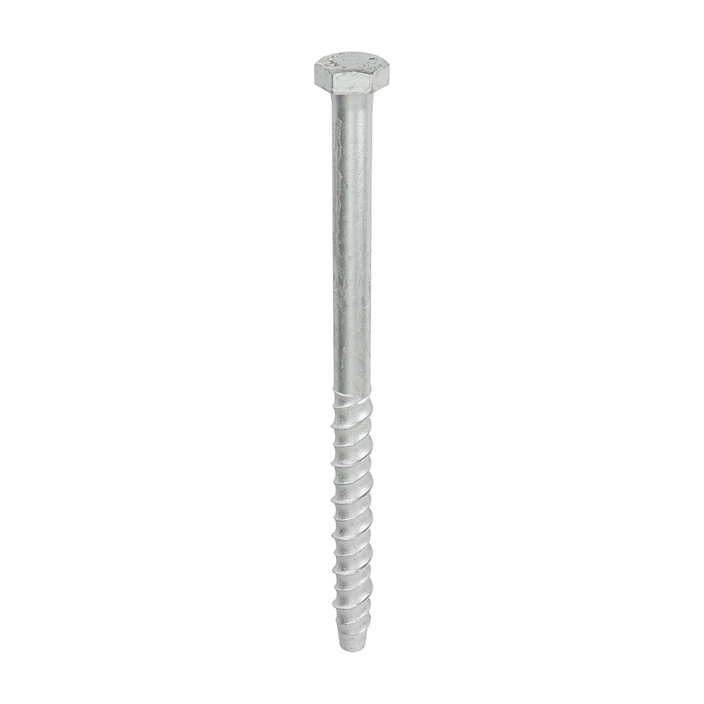 MF12200_w1