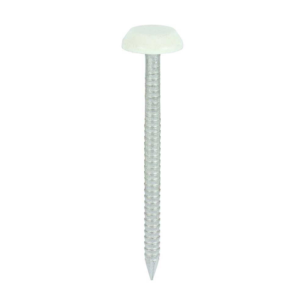 TIMCO Polymer Headed Nail C