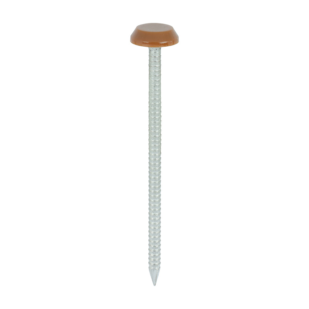 TIMCO Polymer Headed Nail C