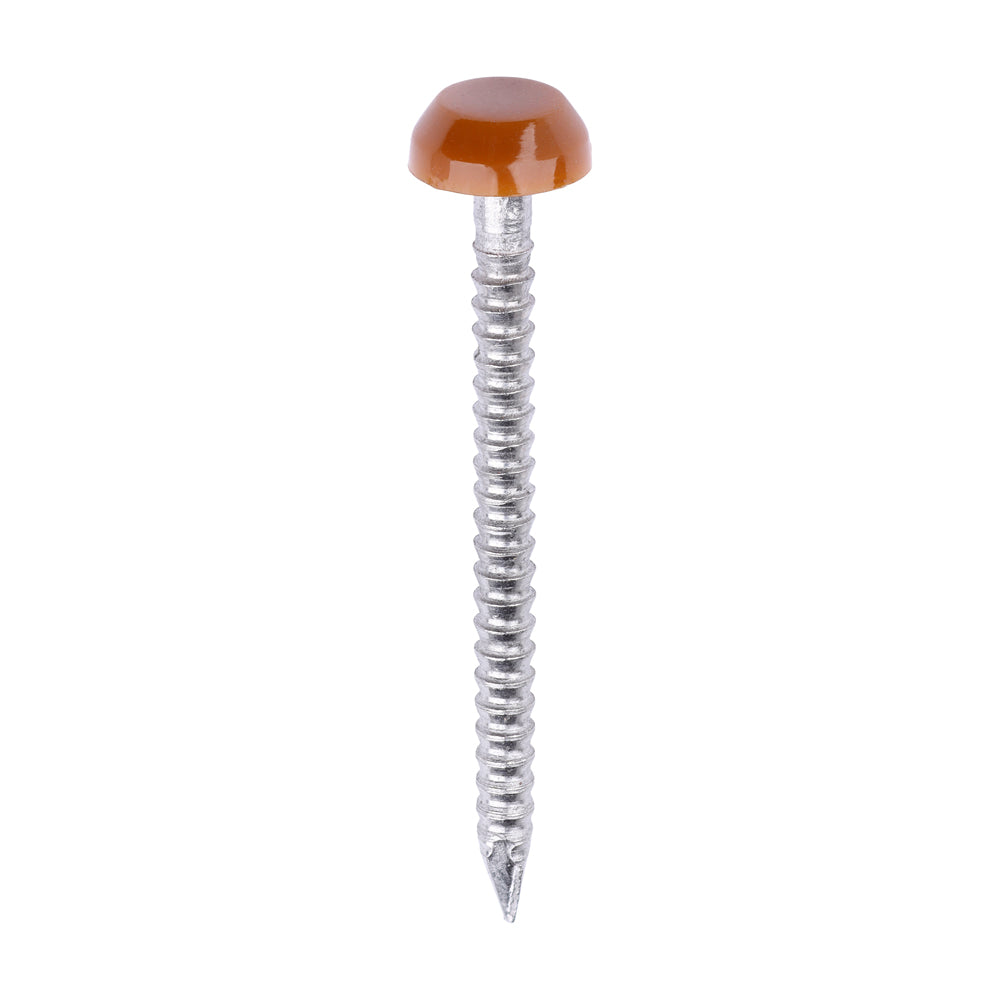 TIMCO Polymer Headed Pin C