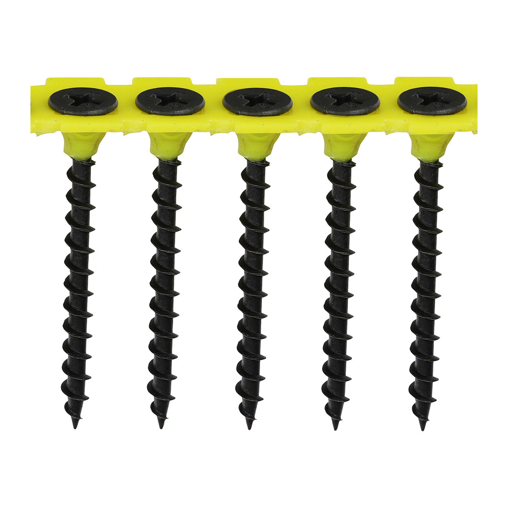 TIMCO Collated Drywall Coarse Black