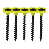 TIMCO Collated Drywall Coarse Black