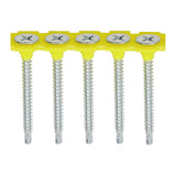 TIMCO Collated Drywall S/DRILL Zinc