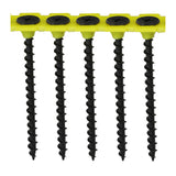 TIMCO Collated Drywall Coarse Black