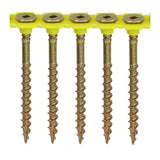 TIMCO Collated Floor Screw SQ ZYP