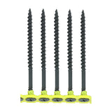 TIMCO Collated Drywall Coarse Black