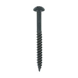 TIMCO Blackjax Screw PZ2 RND Black