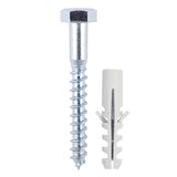TIMCO Coach Screw & Nylon Plugs