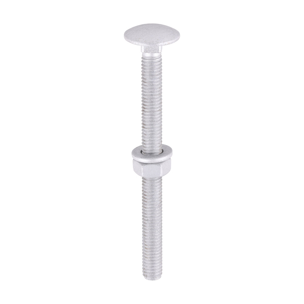 TIMCO Carriage Bolt Exterior - SO