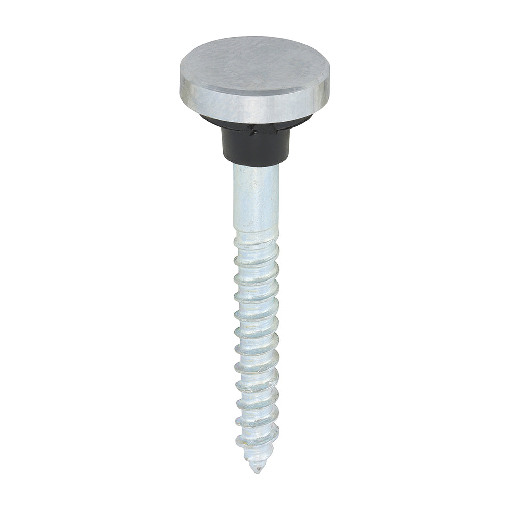 TIMCO Mirror Screw Flat - Chrome