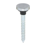 TIMCO Mirror Screw Flat - Chrome