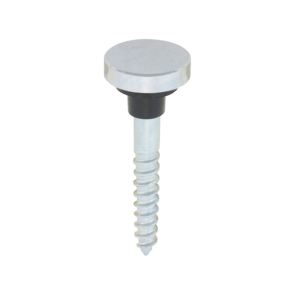 TIMCO Mirror Screw Flat - Chrome