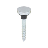 TIMCO Mirror Screw Flat - Chrome