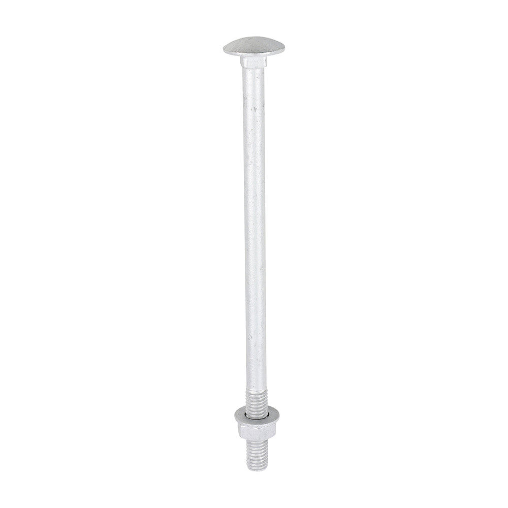 TIMCO Carriage Bolt Exterior - SO