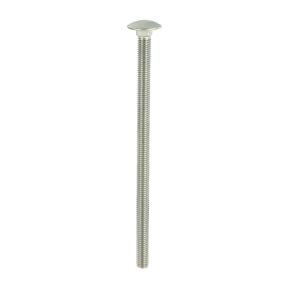 TIMCO Carriage Bolt DIN 603 A2 SS
