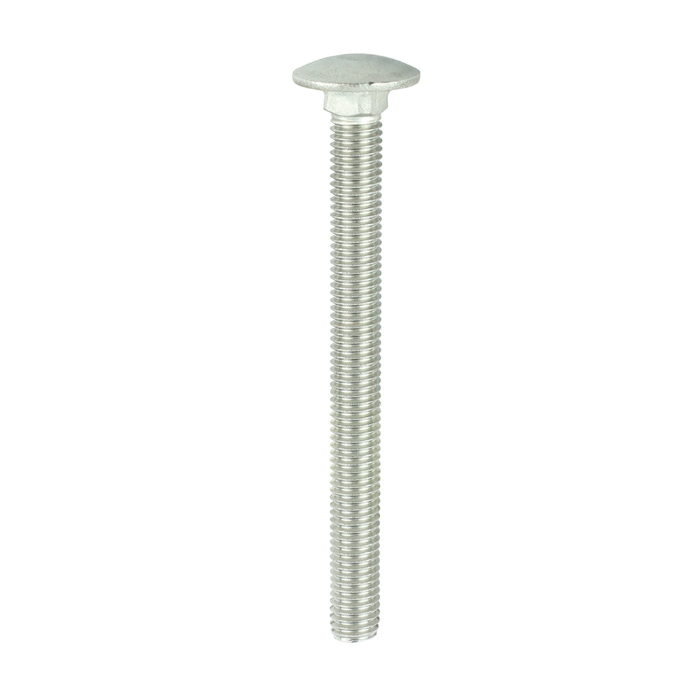 TIMCO Carriage Bolt DIN 603 A2 SS