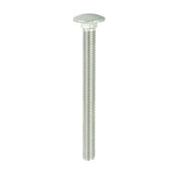 TIMCO Carriage Bolt DIN 603 A2 SS
