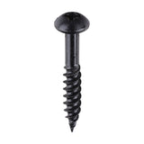 TIMCO Blackjax Screw PZ2 RND Black
