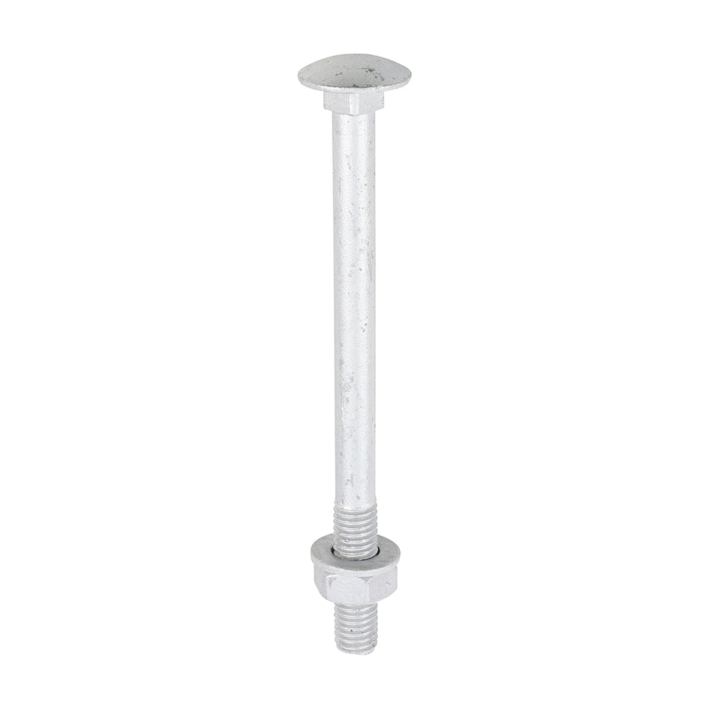 TIMCO Carriage Bolt Exterior - SO