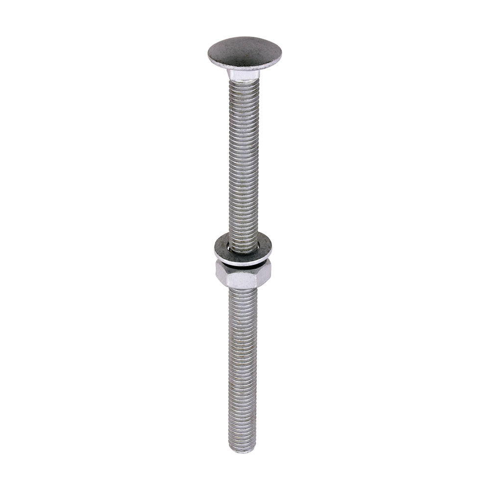 TIMCO Carriage Bolt Exterior - SO