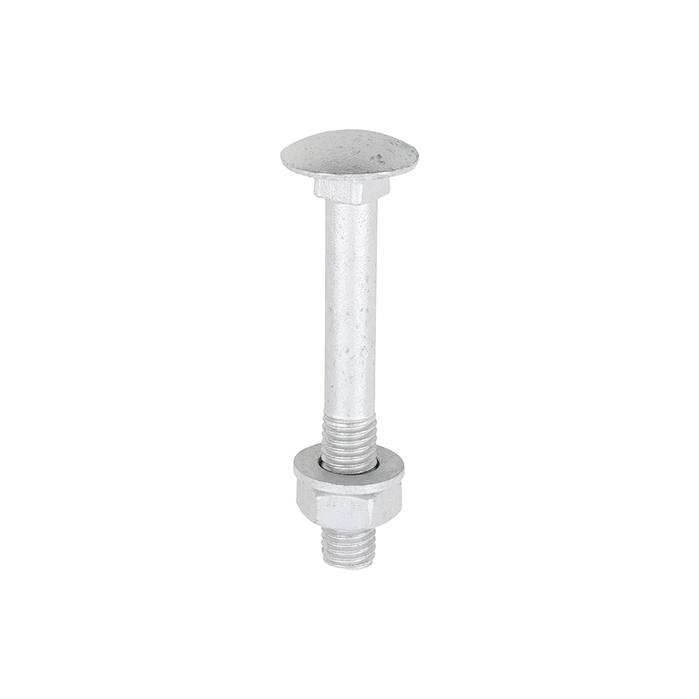 TIMCO Carriage Bolt Exterior - SO