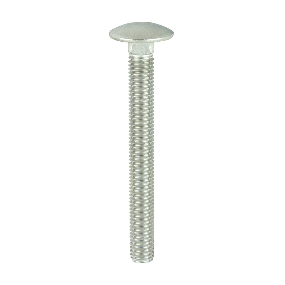 TIMCO Carriage Bolt DIN 603 A2 SS