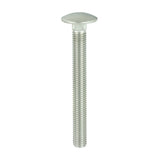 TIMCO Carriage Bolt DIN 603 A2 SS