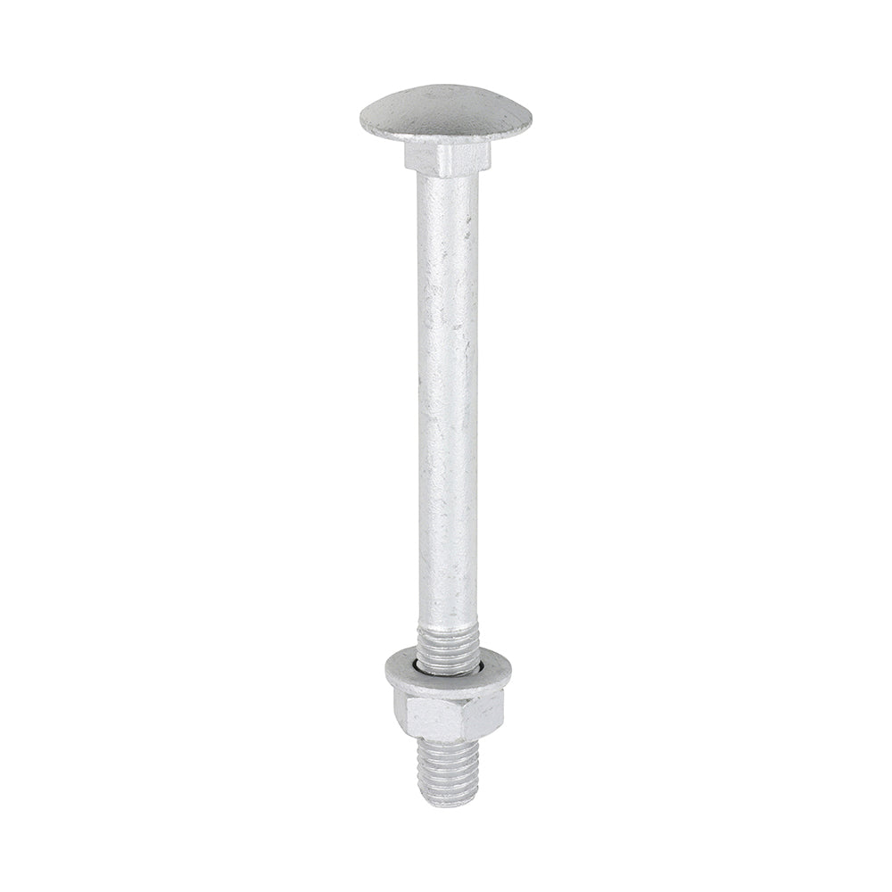 TIMCO Carriage Bolt Exterior - SO