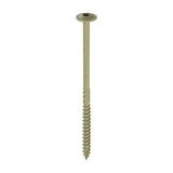 TIMCO Timber Frame Screw WAFER