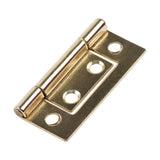 TIMCO Flush Hinge