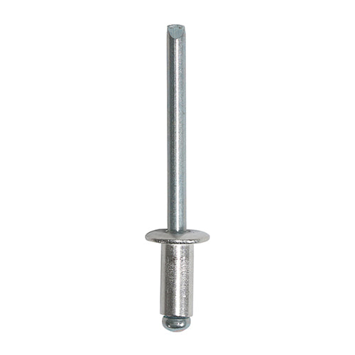 TIMCO Rivets Dome Head