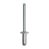 TIMCO Rivets Dome Head