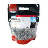 TIMCO Drive Screw - Galvanised