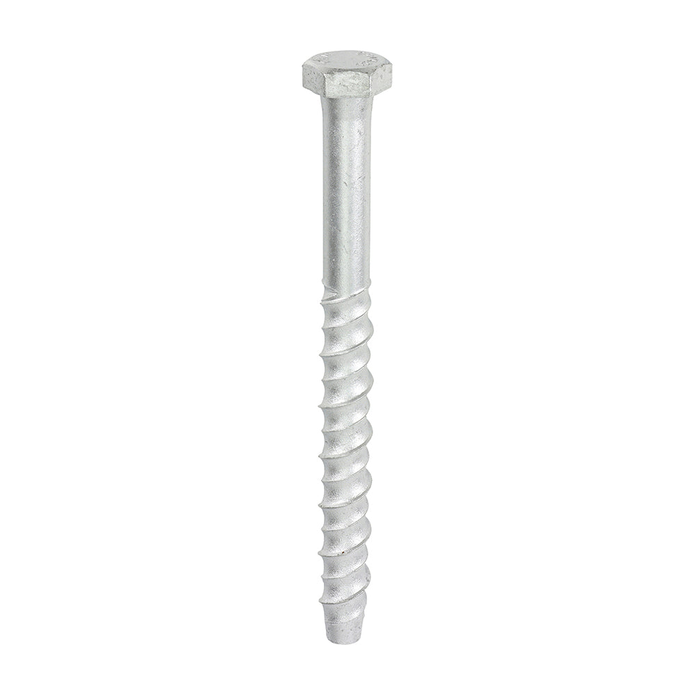 MF12150_w1