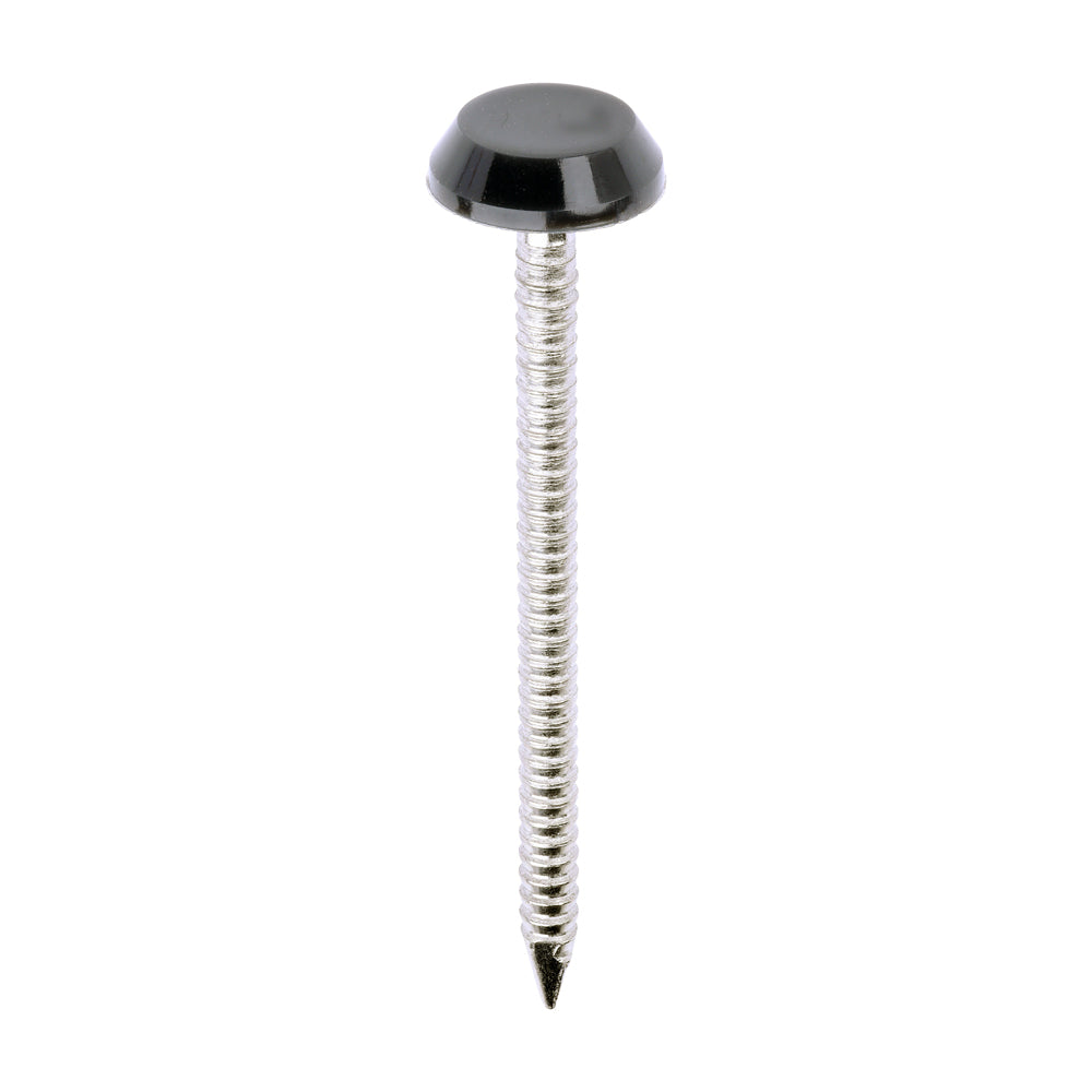 TIMCO Polymer Headed Nail A GREY