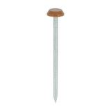 TIMCO Polymer Headed Nail C